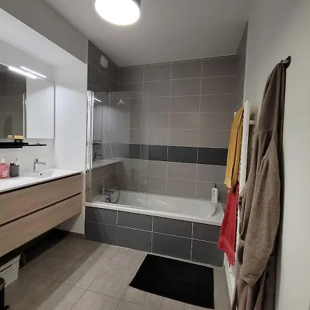 Duplex Rooftop Groupama Stadium Ldlc Arena Διαμέρισμα Meyzieu