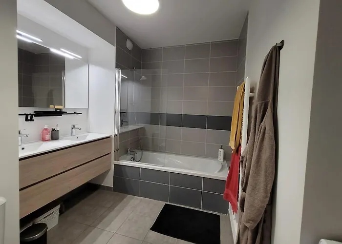 Duplex Rooftop Groupama Stadium Ldlc Arena דירה מייזיו