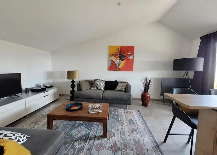 Duplex Rooftop Groupama Stadium Ldlc Arena דירה מייזיו